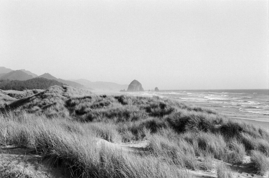 pnw elopement locations